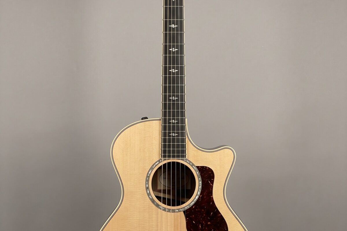 AI-generated representative illustration of the Taylor 814ce grand auditorium cutaway.