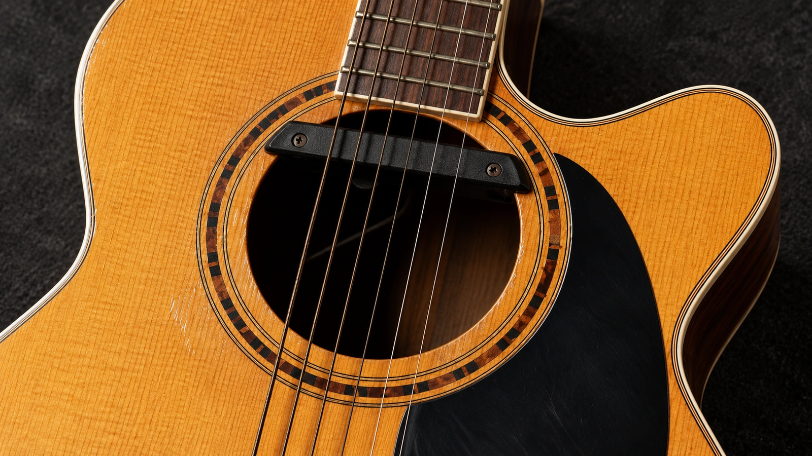 Editorial close-up illustration of a Takamine FP460SC soundhole pickup, rosette, pickguard and cutaway.